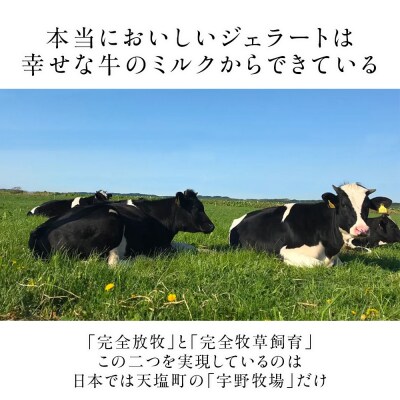 幸せな牛のミルクからできたジェラート パティシエおすすめ6個セット 年4回頒布会