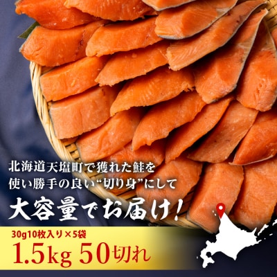 北海道産 鮭の切り身 30g10枚入×5袋〈北るもい漁業協同組合 天塩支所〉