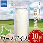 ウーノアイス　10個セット