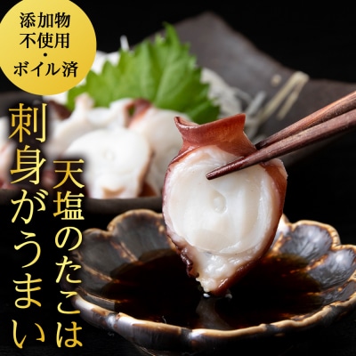 12月発送先行受付 たこ足(1欠片×10)計1,000～1,100g<浪岡屋>