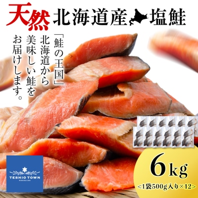 ☆北海道産 塩サケ切り身 6kg
