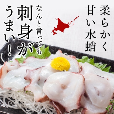 北海道天塩町 煮たこ 足 700g前後＜天塩の國＞