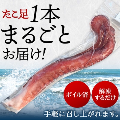 北海道天塩町 煮たこ 足 700g前後＜天塩の國＞