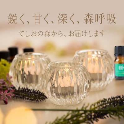 最北のトドマツ精油4ml エッセンシャル・オイル トドマツ ×2