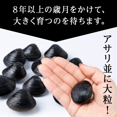 天塩町名産冷凍しじみ【特大サイズ】400g×2パック<北るもい漁業協同組合 天塩支所>