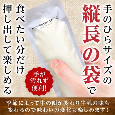 【定期便5カ月ウーノアイス 15個セット