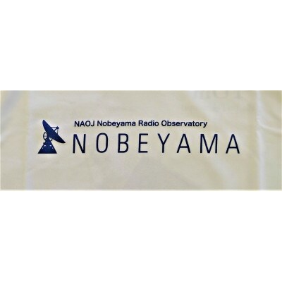 国立天文台野辺山オリジナルTシャツ　-青Lサイズ-