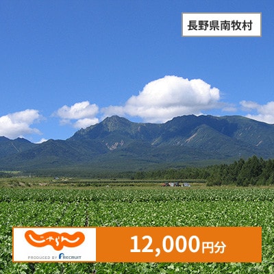 【じゃらんふるさと納税クーポン】 長野県南牧村でつかえる12,000円 クーポン
