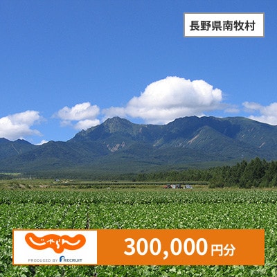 【じゃらんふるさと納税クーポン】 長野県南牧村でつかえる300,000円 クーポン
