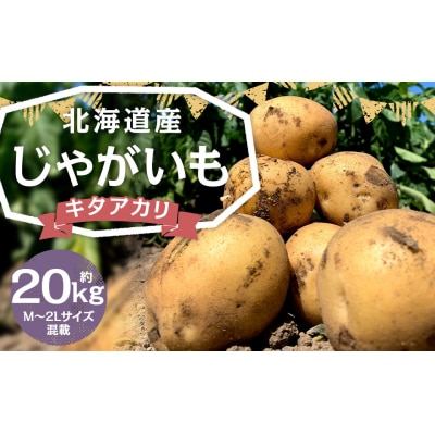 北海道産じゃがいも(キタアカリ) 約20kg 山田農場