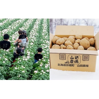 北海道産じゃがいも(キタアカリ) 約20kg 山田農場