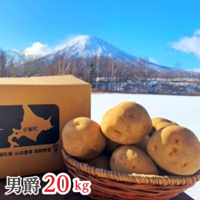 北海道産じゃがいも〈男爵〉20kg[京極町]山田農場[No.5225-0120] | ふるさと納税のお礼品