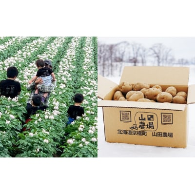 北海道産じゃがいも(男爵) 約20kg 山田農場