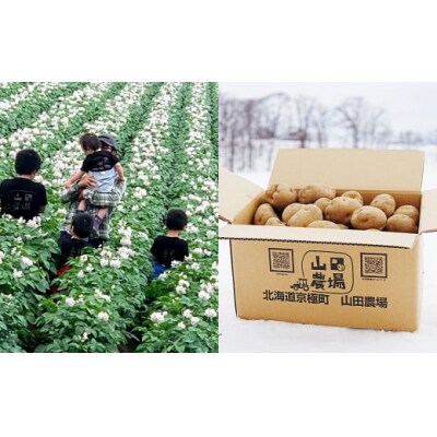 北海道産じゃがいも(男爵) 約10kg・北海道産玉ねぎ(Sサイズ) 約10kgセット