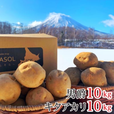 【2025年11月上旬発送予定】北海道産じゃがいも(男爵) 約10kg・北海道産じゃがいも(キタアカ
