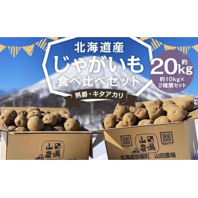 【2025年11月上旬発送予定】北海道産じゃがいも(男爵) 約10kg・北海道産じゃがいも(キタアカ
