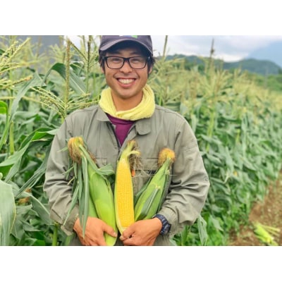 北海道産とうもろこし(恵味)2Lサイズ22本山田農場
