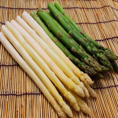 ホワイトアスパラ グリーンアスパラガスセット No 5225 0072 お礼品詳細 ふるさと納税なら さとふる