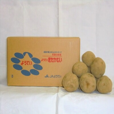 Jaようてい ばれいしょ きたかむい kg お礼品詳細 ふるさと納税なら さとふる