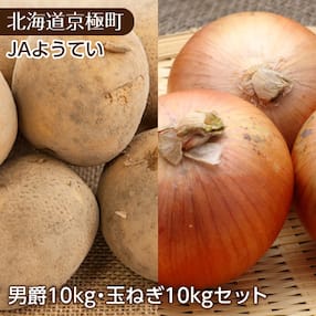 JAようてい ばれいしょ「男爵」10Kg 「玉ねぎ」10kg[No.5225-0095]