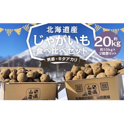 北海道産じゃがいも男爵10kg・キタアカリ10kg食べ比べセット　山田農場