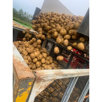 北海道産じゃがいも男爵10kg・キタアカリ10kg食べ比べセット　山田農場