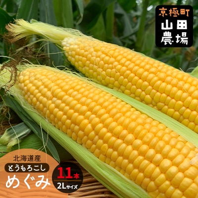 北海道産とうもろこし(恵味) 2Lサイズ 11本 約4kg