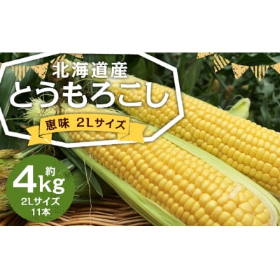 北海道産とうもろこし(恵味) 2Lサイズ 11本 約4kg