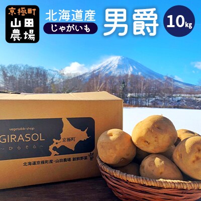 【2025年11月上旬発送予定】北海道産じゃがいも(男爵) 約10kg 山田農場