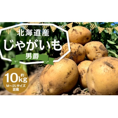 【2025年11月上旬発送予定】北海道産じゃがいも(男爵) 約10kg 山田農場