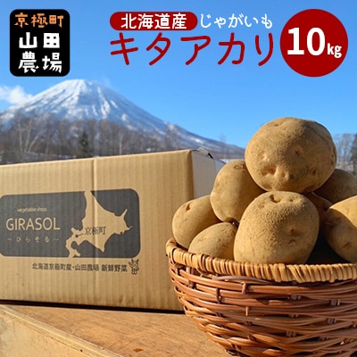 【2025年11月上旬発送予定】北海道産じゃがいも(キタアカリ) 約10kg 山田農場