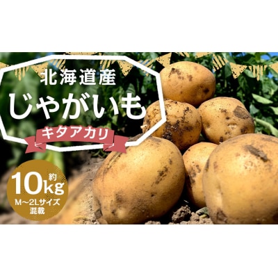 【2025年11月上旬発送予定】北海道産じゃがいも(キタアカリ) 約10kg 山田農場
