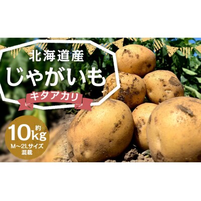 北海道産じゃがいも(キタアカリ) 約10kg 山田農場