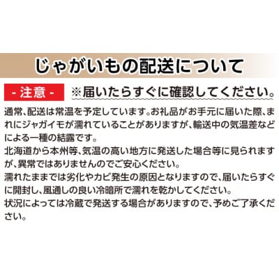 【2025年11月上旬発送予定】北海道産じゃがいも(キタアカリ) 約10kg 山田農場