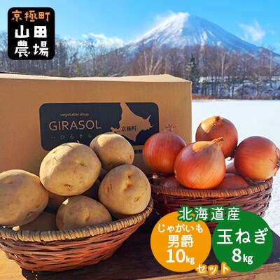 北海道産じゃがいも〈男爵〉10kg・玉ねぎ8kgセット 山田農場[No.5225-0144]