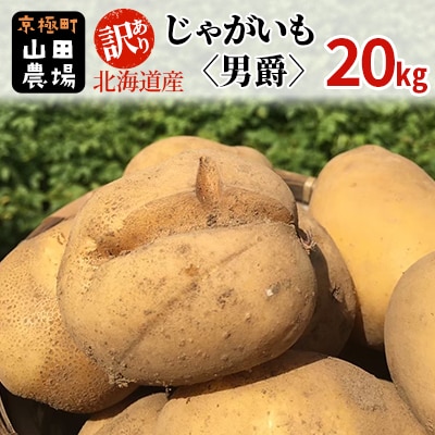 【2025年11月上旬発送予定】【訳あり】北海道産じゃがいも(男爵) 約20kg 山田農場
