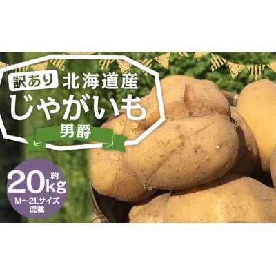 【訳あり】北海道産じゃがいも(男爵) 約20kg 山田農場