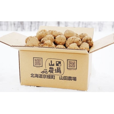 【訳あり】北海道産じゃがいも(男爵) 約20kg 山田農場