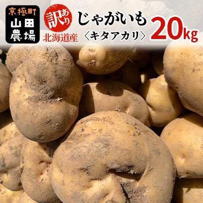 【2025年11月上旬発送予定】【訳あり】北海道産じゃがいも (キタアカリ) 約20kg 山田農場