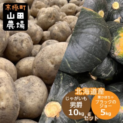 北海道産じゃがいも(男爵) 約10kg・北海道産かぼちゃ(ブラックのジョー)