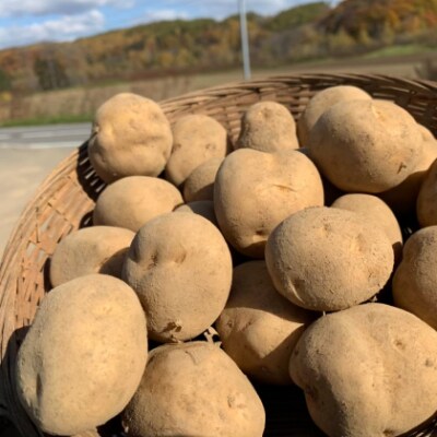 北海道産じゃがいも(男爵) 約10kg・北海道産かぼちゃ(ブラックのジョー)