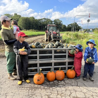 北海道産じゃがいも(男爵) 約10kg・北海道産かぼちゃ(ブラックのジョー)