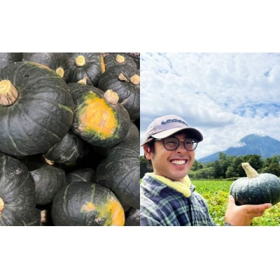 北海道産じゃがいも(男爵) 約10kg・北海道産かぼちゃ(ブラックのジョー)