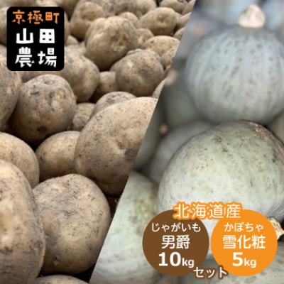 【2025年11月上旬発送予定】北海道産じゃがいも(男爵) 約10kg・北海道産かぼちゃ(雪化粧) 