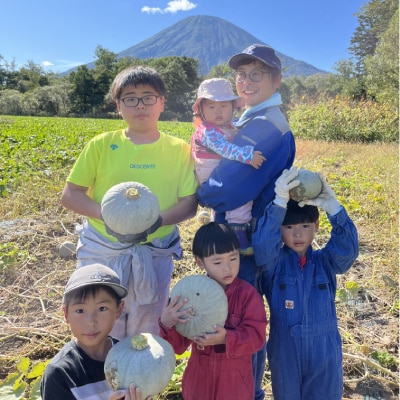 【2025年11月上旬発送予定】北海道産じゃがいも(男爵) 約10kg・北海道産かぼちゃ(雪化粧) 