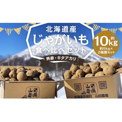 北海道産じゃがいも男爵5kg・キタアカリ5kg食べ比べセット　山田農場