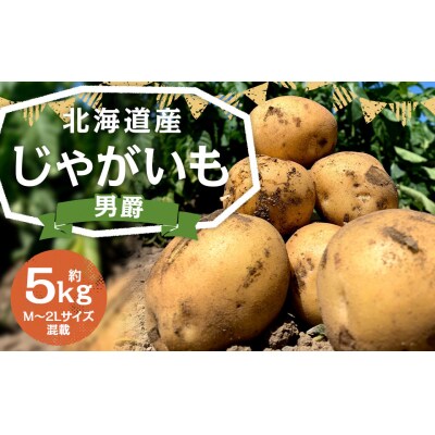 北海道産じゃがいも(男爵) 約5kg 山田農場