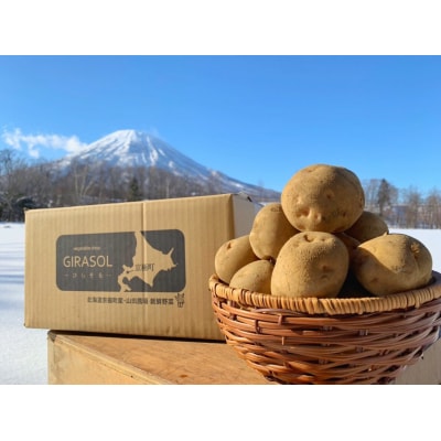 【2025年11月上旬発送予定】北海道産じゃがいも(キタアカリ) 約5kg 山田農場