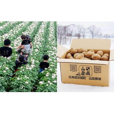 北海道産じゃがいも(男爵) 約5kg・北海道産玉ねぎ(Sサイズ) 約5kgセット 