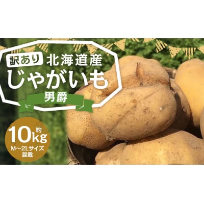 【訳あり】北海道産じゃがいも(男爵) 約10kg 山田農場
